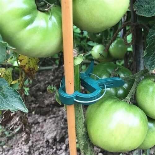 Garden Flower Lever Clips